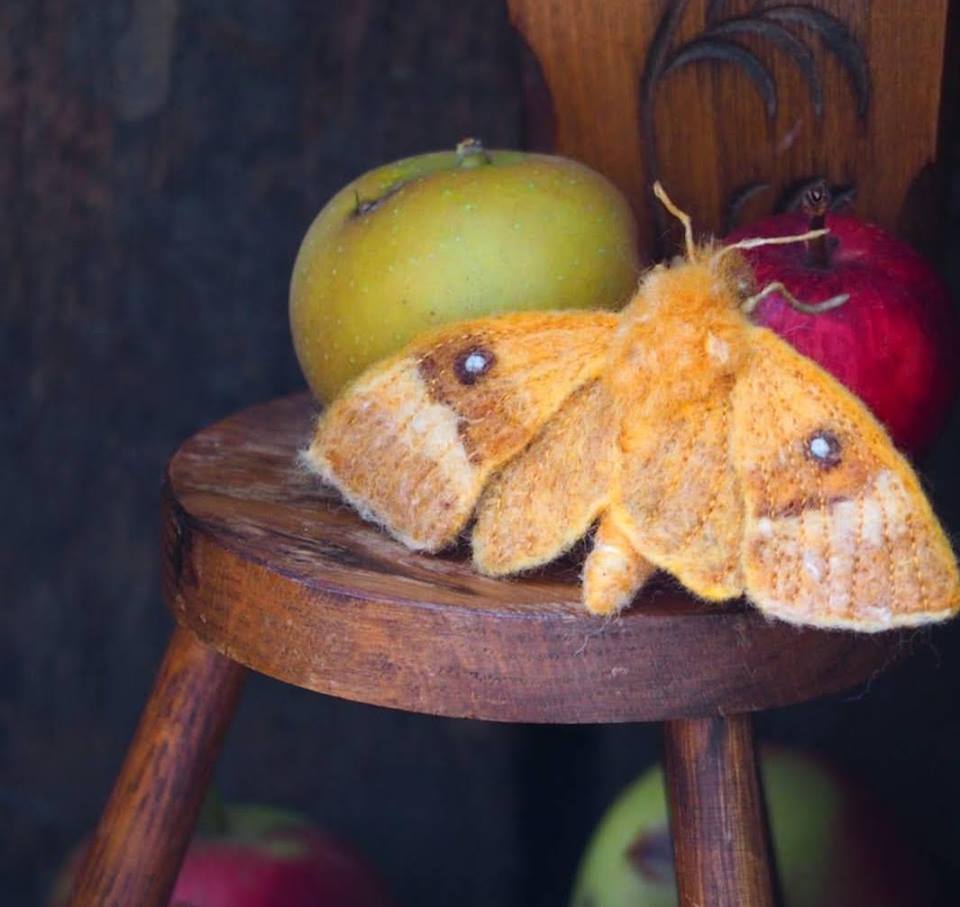 40424392_2140755782833398_411912497835016192_n