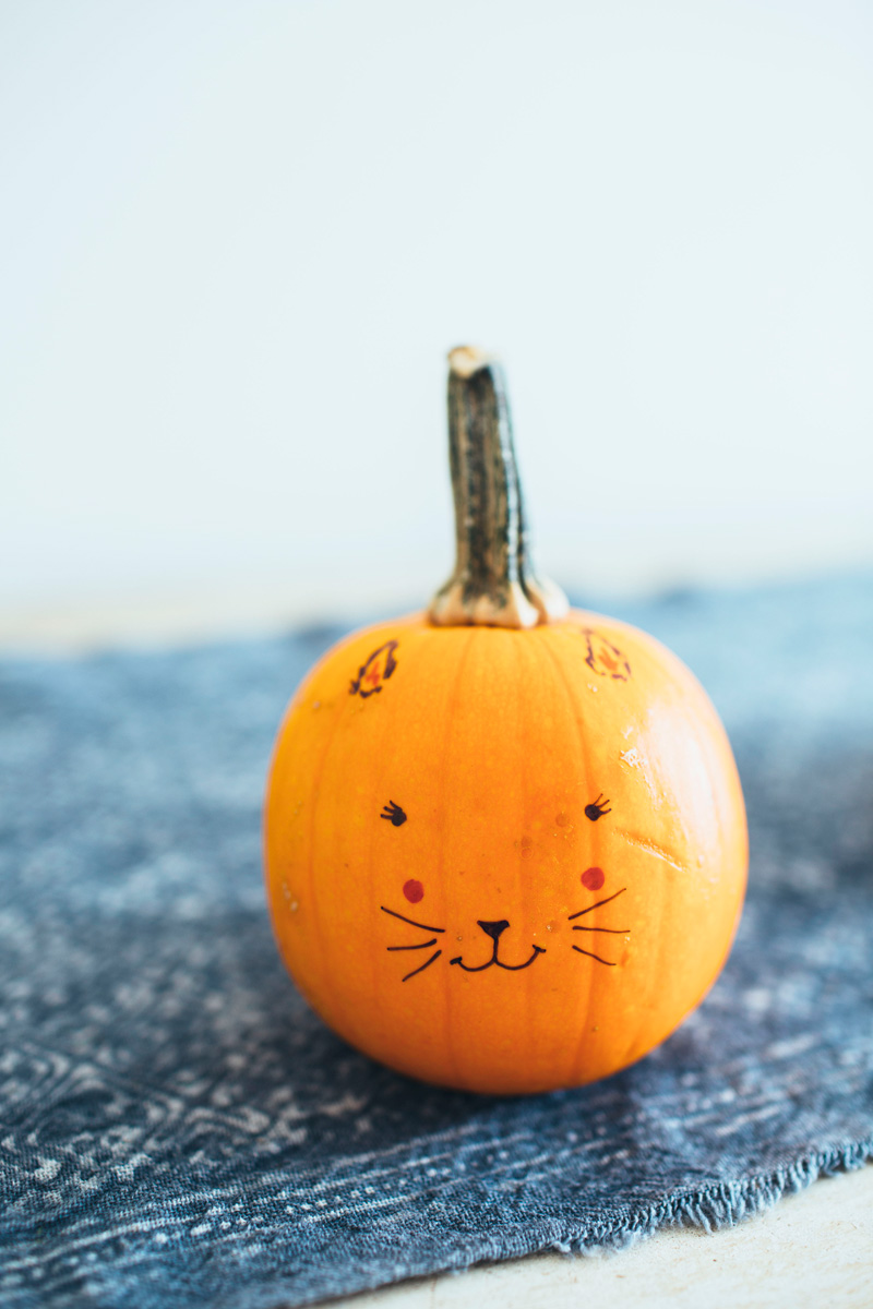 Cute-Sharpie-Cat-Face-Pumpkin