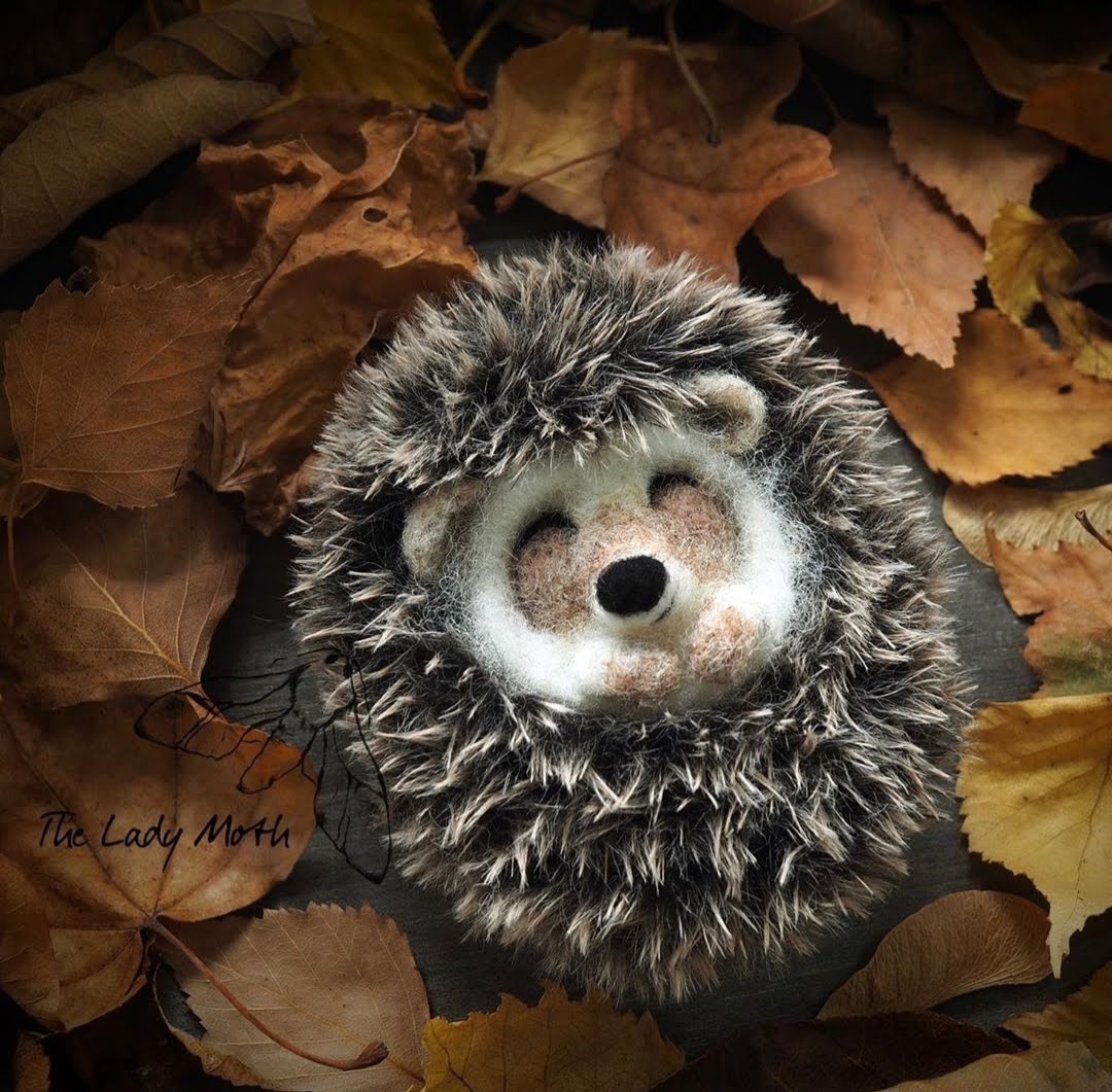 Screenshot_20190923-175246_Instagram