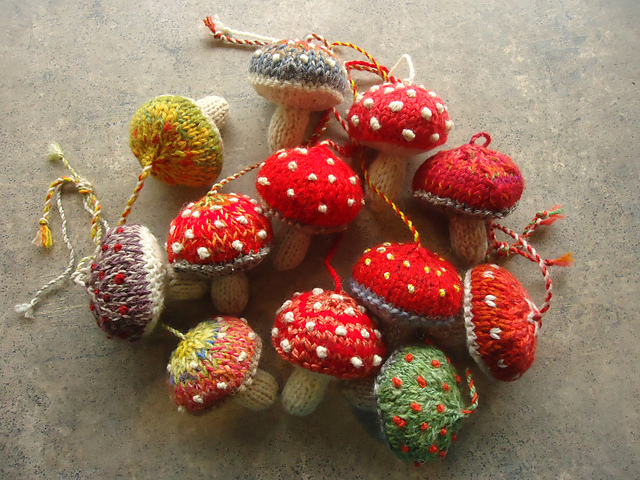 This image has an empty alt attribute; its file name is mushrooms_2-26-15_012_medium2.jpg